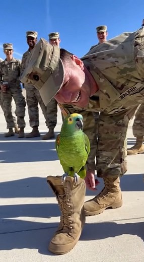 556K views · 31K reactions | “Snack First, Attack Later!” — Army...