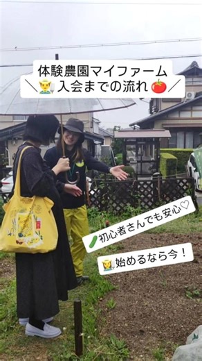 マイファーム--MYFARM-- on Instagram: "体験農園マイファーム 【入会までの流れ】をご案内します📢 📝入会までの流れ ①まずはお近くの農園を検索🔍 ②見学を申し込んで、現地へ向かいます！ ③気に入った区画を契約します！ あなたの自産自消がはじまります！ 心と身体で感じるとっておきの野菜づくりを楽しみましょう🎶 新規利用者さまは随時募集中！ 詳しくは プロフィールのハイライト @myfarm_photo もしくは「体験農園マイファーム」で検索🔎 農に触れて、毎日を豊かに🌱 #家庭菜園 #有機栽培 #畑 #農業 #自然 #マイファーム"