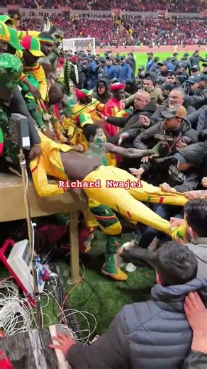 Senegalese Fans fighting with Moroccan officials in the final game! #football #afcon2025