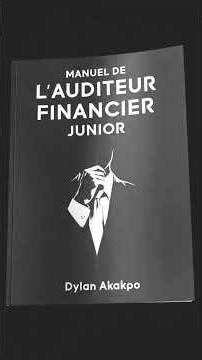 Deloitte vs PwC vs EY vs KPMG: Who is the best | Financial Audit