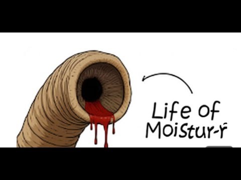 Why it sucks to be a born as Sandworm