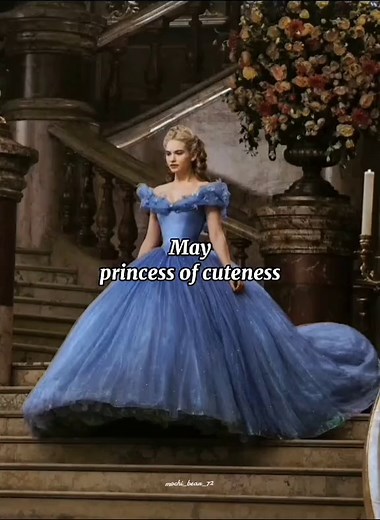 Replying to @sithu_20000 here your video 💙🦋#whichprincessareyou #aesthetics #may #princessofcuteness#fypシ #foryourpage #mochi_bear_72