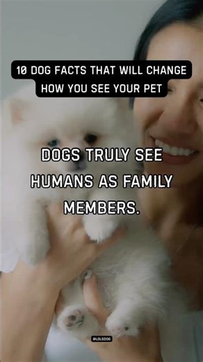 Dogs truly see humans as family members. Pack instincts transfer to households.