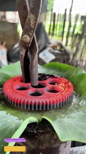 Glowing Gear Meets Leafy Bath: How Ancient Metalworkers Beat Heat with Nature’s Trick
