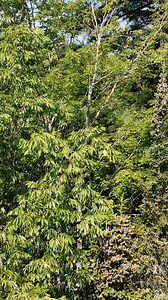 1.9K views · 69 reactions | The U.S. Environmental Protection Agency...