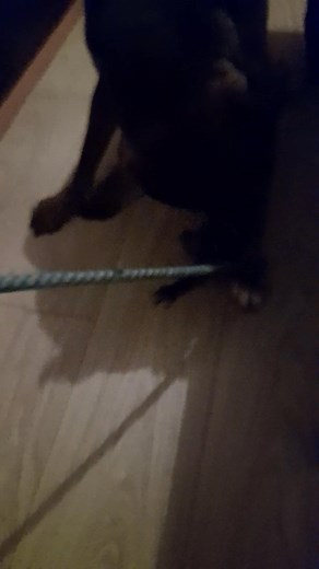 Best way to get a workout lol | Arlene Macmaster