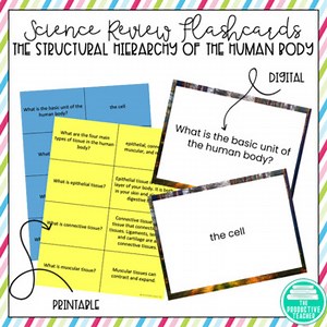 Structural Hierarchy of the Human Body Flashcards