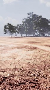 Desert trees in plains of africa under clear sky and dry floor