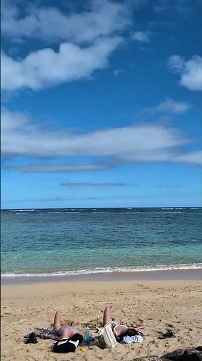 Paradise Vibes at Kaaawa Beach | Wind, Waves, Wow #hawaii#beach #oahu #oceanwaves #travelusa #nature