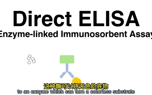 直接法ELISA原理是什么？以及应用！