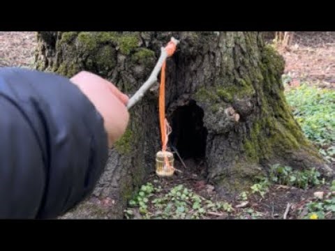 DUENDE REAL en La Casa de los Duendes / miamigo Moshe nuevo vídeo viral 2 / 4