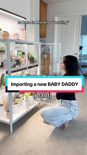 Importing Rare Anthurium Plants Made Easy