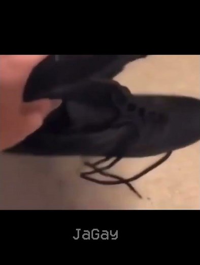 half life (0.8.2) (no effort) #halflife #halflife1