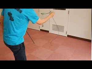 うずしお(後ろから）