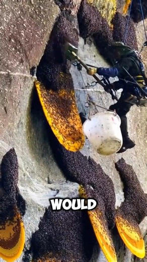 😨 Why Beekeepers Throw Away Part of a Honeycomb | The Hidden Reason Will Shock You !!