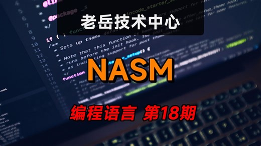 NASM编程语言全解析：从历史到应用，一网打尽
