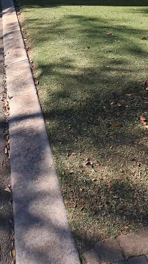 116K views · 1.5K reactions | #DON'T LEAVE UR CLOTHES HANGING IN A WASHINLINE OVERNIGHT | Les Mpete | Facebook