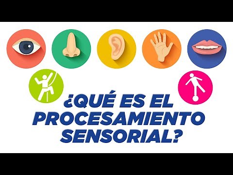 ¿Qué es el Procesamiento Sensorial?
