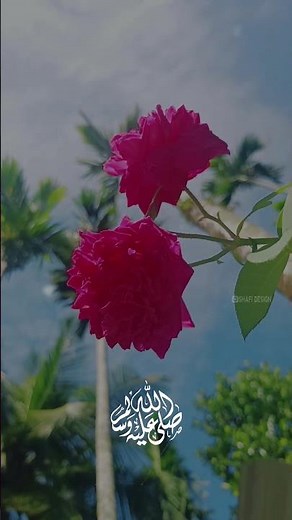 Islamic whatsapp status malayalam | New madh song status 2023 | Madh song whatsapp status 2023