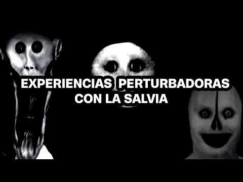 EXPERIENCIAS PERTURBADORAS CON LA SALVIA