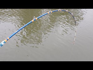 Mad Katz Catch Big Cats