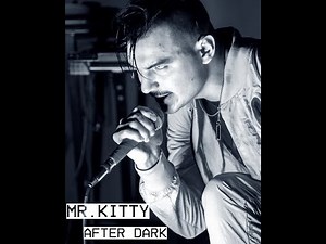 Mr. Kitty - After Dark (Live)