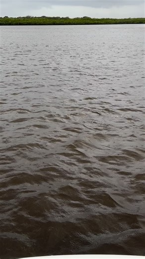 31K views · 14K reactions | Part 2 since yall loved the first one so much  Strong wind plus breeding bull reds is not a good combo 藍 Full video is on YouTube check it out! #BigRedfish #RedfishCatch #FishingLife #CatchOfTheDay #RedfishLove #FishOn #FishingAdventures #RedfishSeason #SaltwaterFishing #FishingGoals #EpicCatch #FishTales #GoneFishing #RedfishHunter #FishingFun #ReelItIn #FishyBusiness #HookedOnFishing #FishFail #OopsFish | Jason Diver | Facebook