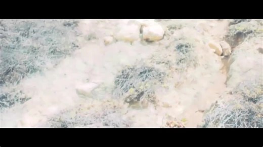 Beyond Paradise - Official Clip 20 "Dream Happy Ending" | IMDb