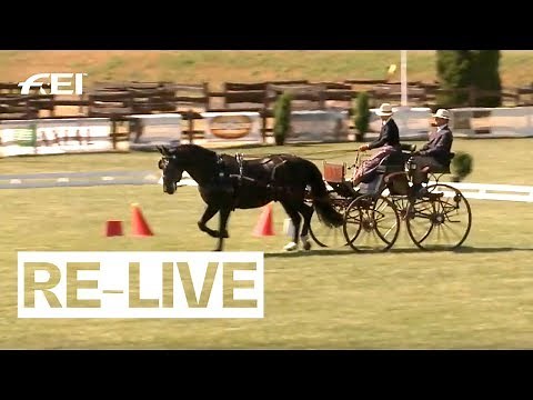 RE-LIVE | Driving (Dressage, Cone) | Day 1 Morning | FEI Driving World Championship for Young Horses