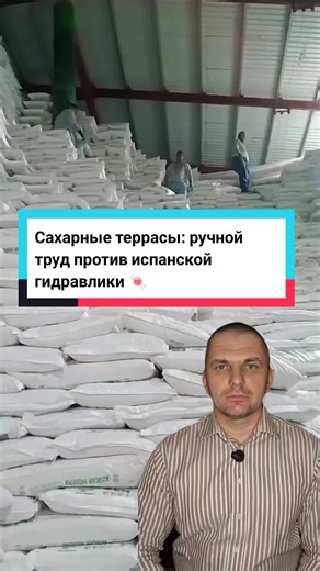 Сахарные террасы: ручной труд против испанской гидравлики 🍬🚜 Video credit: Víctor González / Source: Social Media Латинская Америка, склад сахара-сырца. Здесь забыли про паллеты и стеллажи — мешки лежат навалом от пола до самой кровли. Это похоже на рисовые террасы Бали, только из сахара. Рабочие вручную карабкаются на высоту в несколько метров и скидывают мешки вниз, где их ловит испанский конвейер BANDA BBA HIDR. Механизация в 2026 году заканчивается там, где начинается гора сахара. Только с