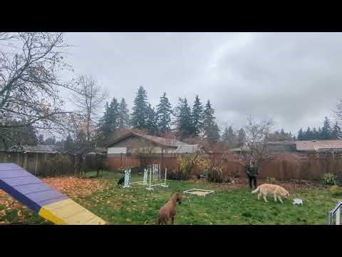 Arrow's Agility Foundation - A frame grid 11.17.25