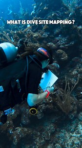 Dive site mapping involves creating detailed charts of underwater environments, showcasing features like topography, marine habitats, entry/exit points, and hazards. 🌊 For Dive Masters, mastering this skill is vital for safety, effective planning, and navigation. 🗺️ Accurate maps guide divers, highlighting the best parts while avoiding dangers. 🚫 Mapping also promotes environmental awareness and responsible diving. 🌿 By learning this, Dive Masters enhance dive experiences, ensuring safety an