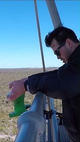 20K views · 293 reactions | Anvil Vs Spray Paint!  | How Ridiculous | Facebook