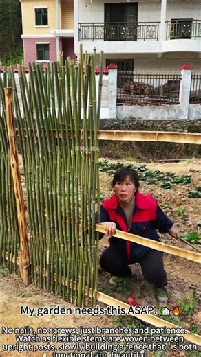 Weaving a Fence – No Nails Needed 🌿