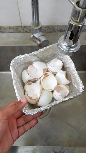 Eggshell Dish Cleaner: Clean Dishes with Eggshells
