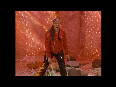 (HQ) That's So Raven - "Raven's Journey Through The Stomach"