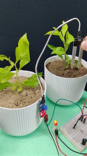 Soil Moisture Detector Project #soildetector #soilsensor #plantwatering #plantirrigation #irrigation