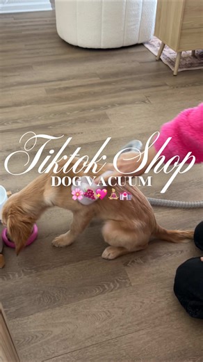 Best Dog Grooming Vacuum for Minimal Hair Mess