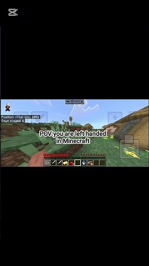 I'm ambidextrous #minecraft #lefthandpath #mcpe #lefthanded#lefties#left#minecraftshorts