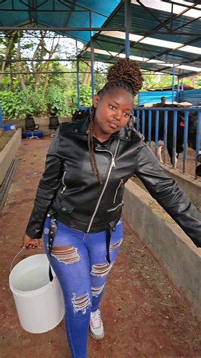 Dairy Farming in Kenya: Practical Tips for Small-Scale Farmers