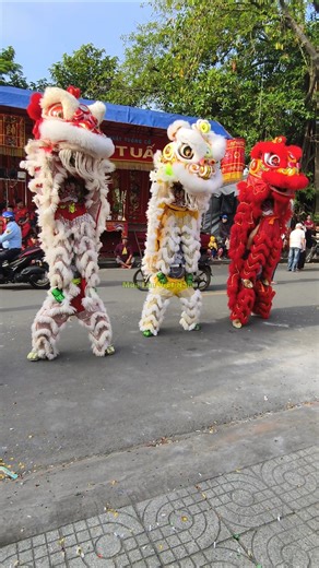 The lion dance was so beautiful and classy! #liondance2026 #bestliondance2026 #liondancewithdrago...