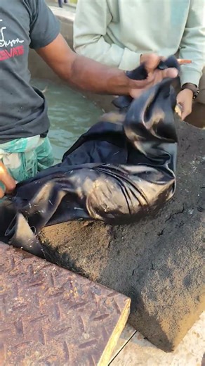 carp fishing secret trick #shorts
