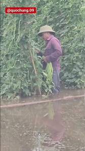 검은콩을 매일 섭취하면 네 가지 질병이 사라집니다.!...농부가 관상용 금귤..검은콩 자주먹으면 없 #검은콩 #검은콩효능 #건강 #올바른정보 #음식 #건강정보