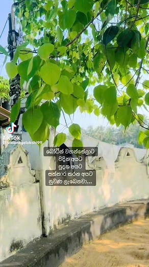 Mathu Mathu on Reels