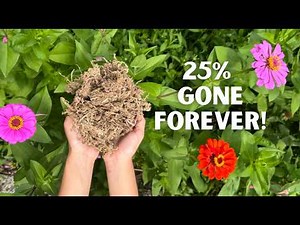 PEAT MOSS IS BAD!!! (What to Use Instead)