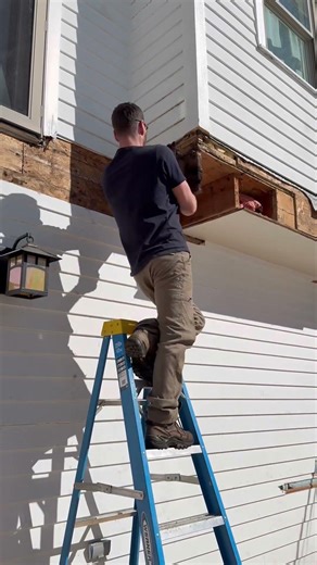 Don’t cover rot. Remove it. #framing #rotrepair #deckbuilder #carpentry #structuralrepair