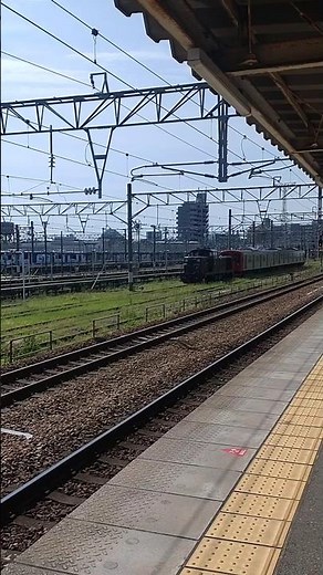 DE10形 停車 をぼんやり眺める #鉄道 #train
