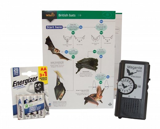 Beginners Bat Detecting Kit