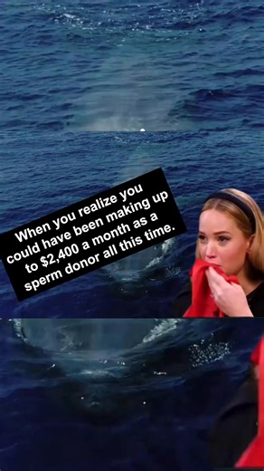224K views · 12 shares | When you realize you could have been making up to $2,400 a month as a sperm donor all this time. | Sperm Bank Donors | Facebook