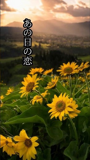【心の処方箋】あいみょん / マリーゴールド 歌詞動画 #歌詞動画 #あいみょん #Shorts